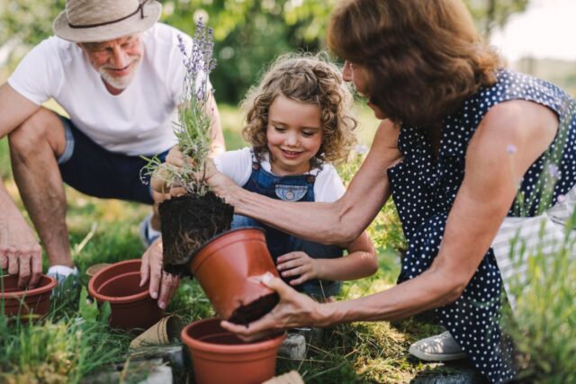 Grandparents and a Grandchild Planting