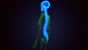 DRG Stimulation Image of Head and Spine